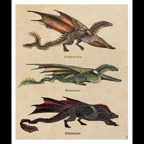 Drogon, Rhaegal, Viserion on Instagram: "the dragon brothers Viserion ...