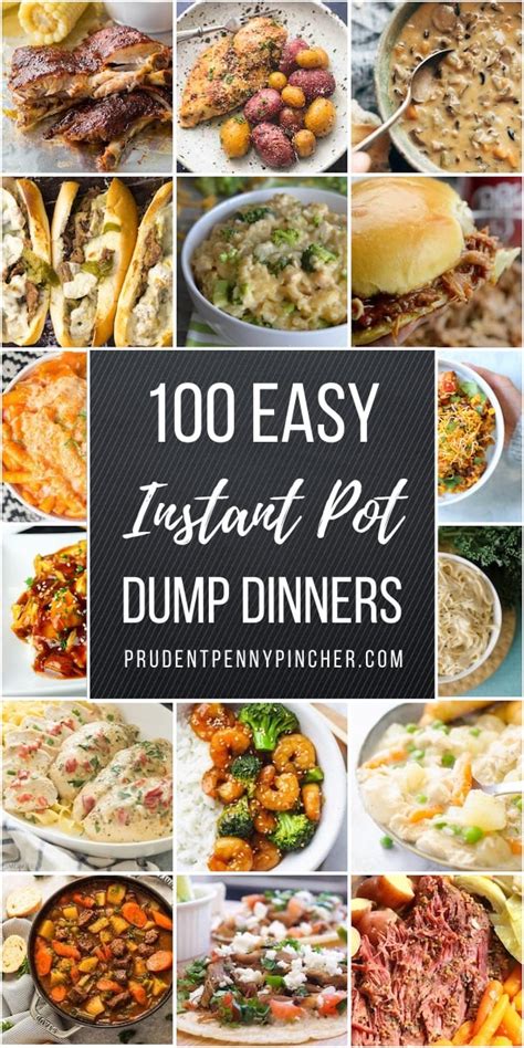 100 Dump And Go Instant Pot Dinner Recipes Prudent Penny Pincher