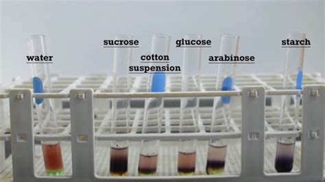 Molisch Test Is A General Test For Carbohydrates Why