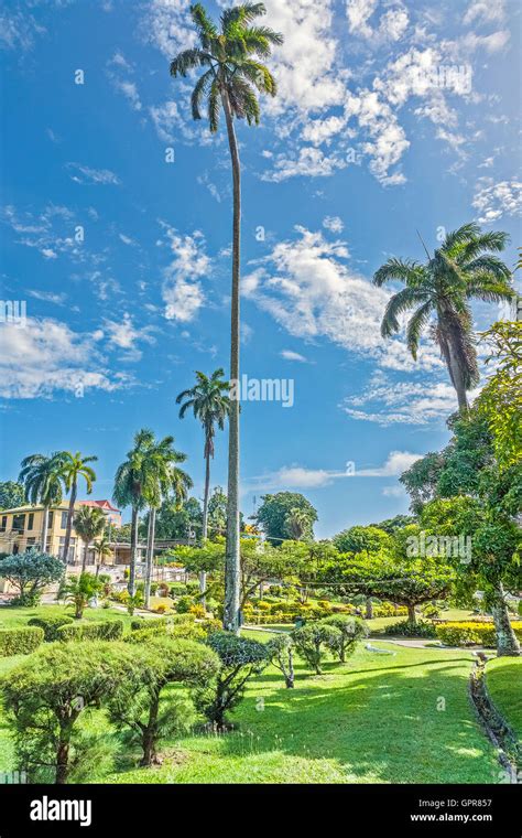 Botanical Gardens Trinidad Tobago Hi Res Stock Photography And Images
