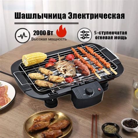 Мангал-барбекю-гриль электрический 2000W, Черный купить на OZON по ...