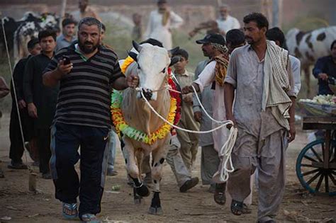 Nation Celebrates Eidul Adha With Religious Fervor Today Pakistan