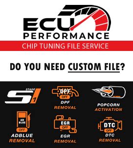 Chiptuning Software XRemover Stage1 Software DPF Off Software EGR