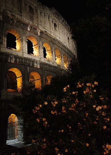 Colosseum Flowers At Night Stares At The Earth Flickr