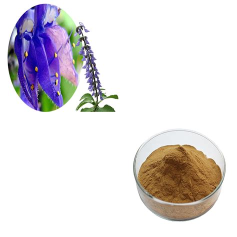 coleus-forskohlii-extract | JHD Ingredients