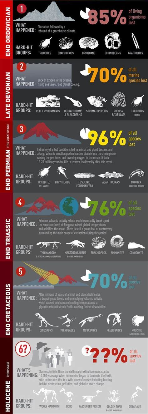 Las Grandes Extinciones De La Historia De La Tierra Earth Science