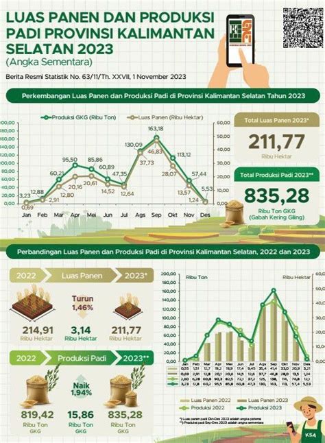 BPS Catat Luas Panen Padi Kalsel Capai 46 83 Ribu Hektare Pada