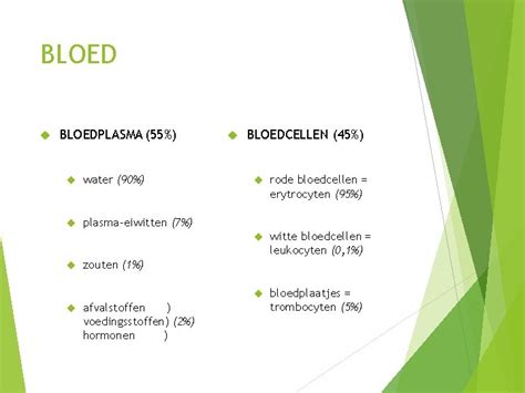 De Circulatie Grote En Kleine Bloedsomloop Hart En