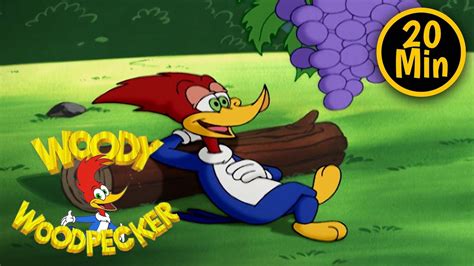 Woody Woodpecker Woody Goes Camping 3 Full Episodes Youtube