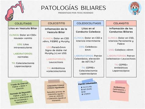 Patologías De Las Vías Biliares Fevic Rosendo Udocz