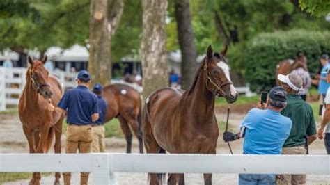 Sales | Keeneland