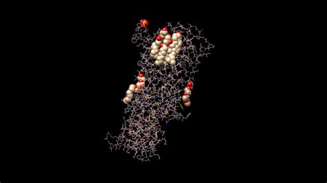 Animation Of Protein Structure Of Mu Opioid Receptor Youtube