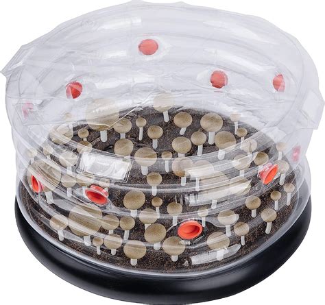 Amazon Kit De Monotub De Hongos Redondos Kit Inflable De Cultivo