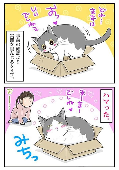 ＜画像323 644＞【ネコ漫画】個性あふれる3匹の猫とのドタバタな日常を描いたコミックエッセイを一気読み！｜ウォーカープラス