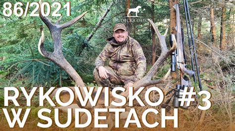 SUDECKA OSTOJA 86 2021 Deer Hunting Rykowisko Polowanie Na Jelenie