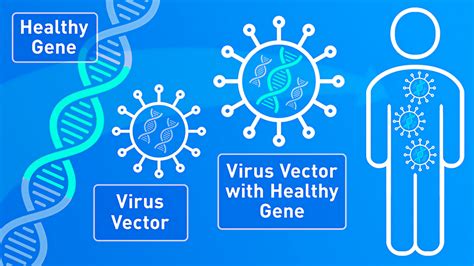 How Gene Therapy Can Cure Or Treat Diseases