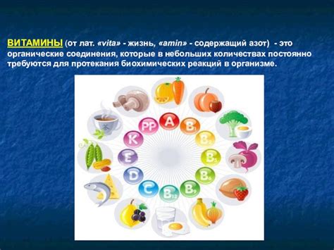 Витамины доклад, проект