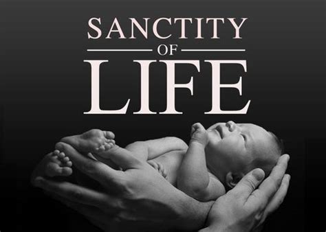 January Is National Sanctity Of Life Month Sanctity Of Life Sunday Pro Life Life