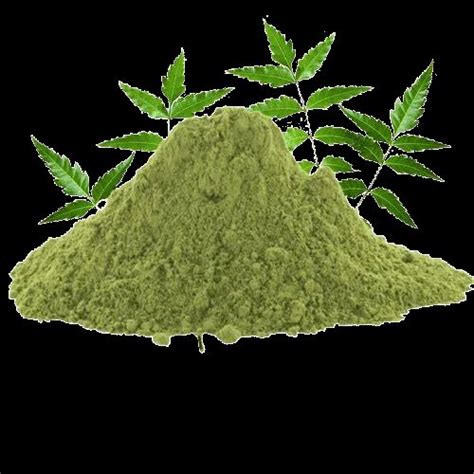 Shine King Loose Neem Powder 25 Kg At Rs 64 Kg In Sojat ID 23175659512