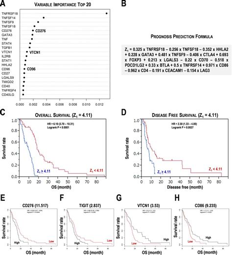 Prognostic Marker Candidates For Cancer Immunotherapy In The Training