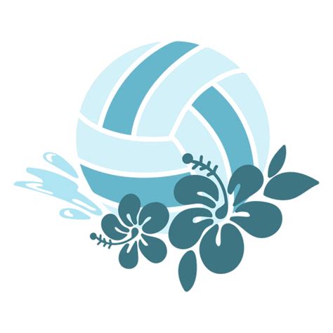 Vector Transparente PNG Y SVG De WaterPolo Balls 5