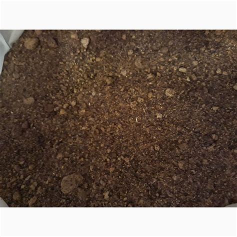 Шрот рапсовый тостированный протеин 40% — Agro-Kazakhstan