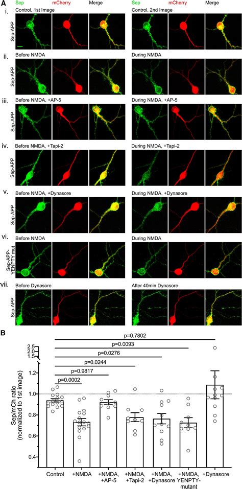 Evidence For A Clathrin Independent Endocytic Pathway For App Internalization In The Neuronal