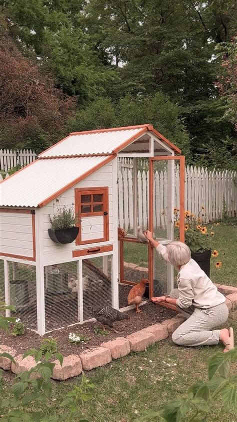 Chicken Coop Aesthetic Homestead Aesthetic Homesteading Aesthetic