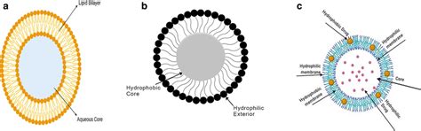 Lipid Based Nanocarriers A Liposome B Micelle C Polymersomes Created