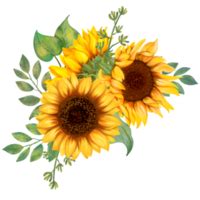 Sunflower PNG Free Images With Transparent Background (2,640 Free Downloads) | atelier-yuwa.ciao.jp