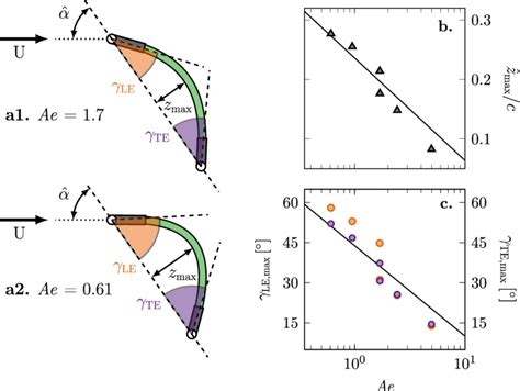schematic   wing deformation indicating  definition