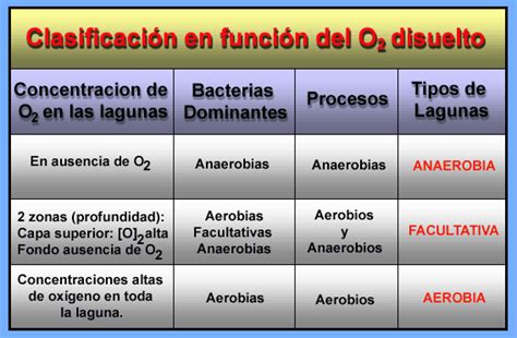 Clasificacion De Las Bacterias Anaerobias