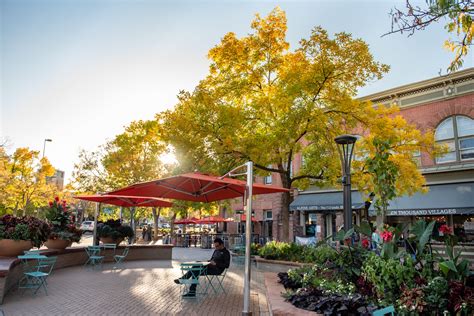 Fall | Downtown Fort Collins, CO