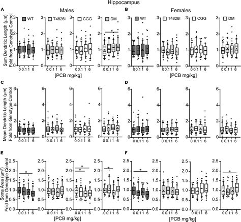 Frontiers Sex And Genotype Modulate The Dendritic Effects Of