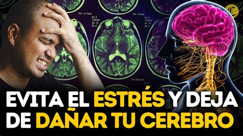 Este Es El Da O Que Le Hace El Estr S A Tu Cerebro Youtube