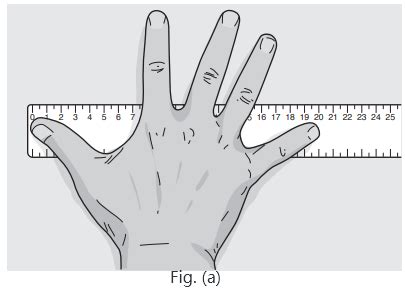 hand span   maximum distance   tip   thumb   ti
