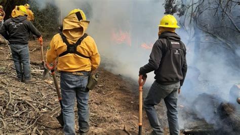 Incendios Forestales Se Duplican En El Edomex Durante Marzo 5