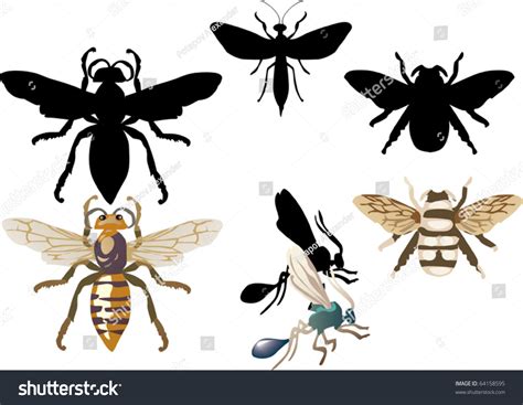 Illustration Insect Isolated On White Background Stock Vector (Royalty ...