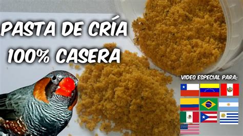 Pasta De Cria Casera Youtube