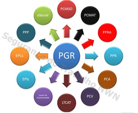 Quem Pode Elaborar O Pgr Programa De Gerenciamento De Riscos