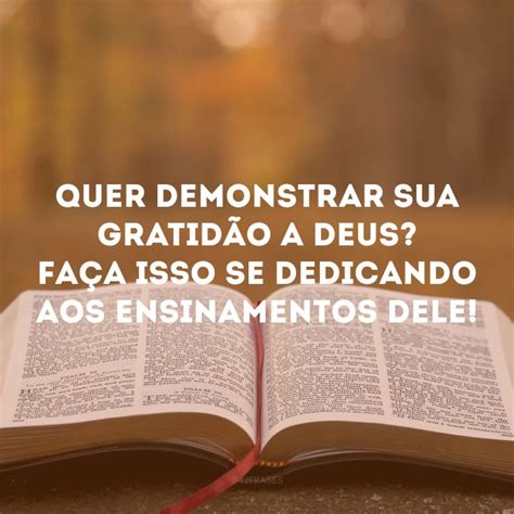 100 Frases De Deus Para Espalhar A Fé Com Palavras Abençoadas Frases De Deus Palavra