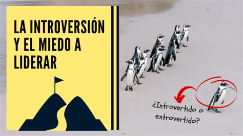 ¿pueden Los Introvertidos Ser Buenos Líderes Mi Vida Introvertida