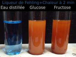 Recherche Des Glucides Ou Sucres