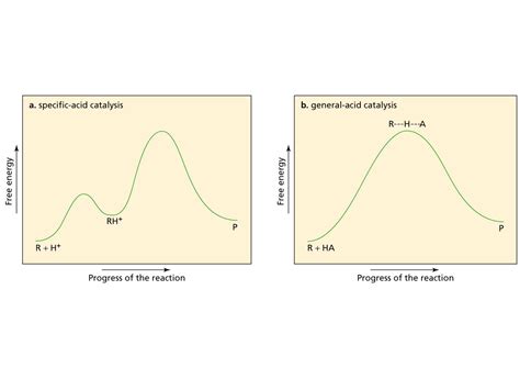 Reaction Coordinate Diagram - exatin.info