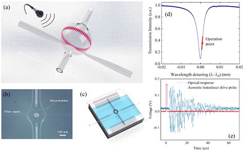 Figure From Underwater Acoustic Wave Detection Based On Packaged