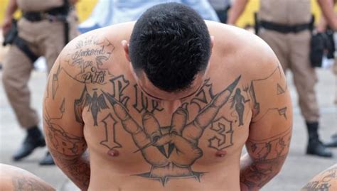 Cabecilla Pandillero De El Salvador Requerido Por Estados Unidos Fue Condenado Ms 13 Mara