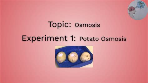 Osmosis Experiment Potato Osmosis Youtube