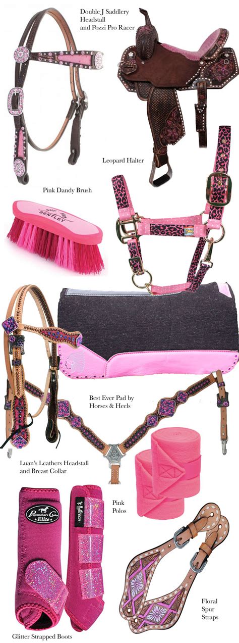 Pink Tack For The Barrel Racer Horses And Heels