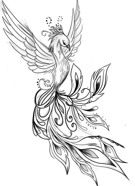 Phoenix Tattoo Arm Phoenix Tattoo Feminine Phoenix Drawing Phoenix