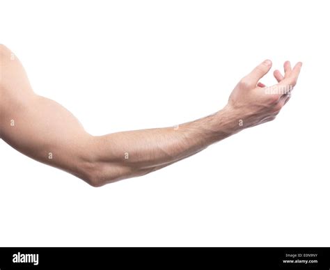 Man S Arm Bent At An Elbow Isolated On White Background Stock Photo Alamy